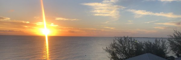 drbdubs Profile Banner