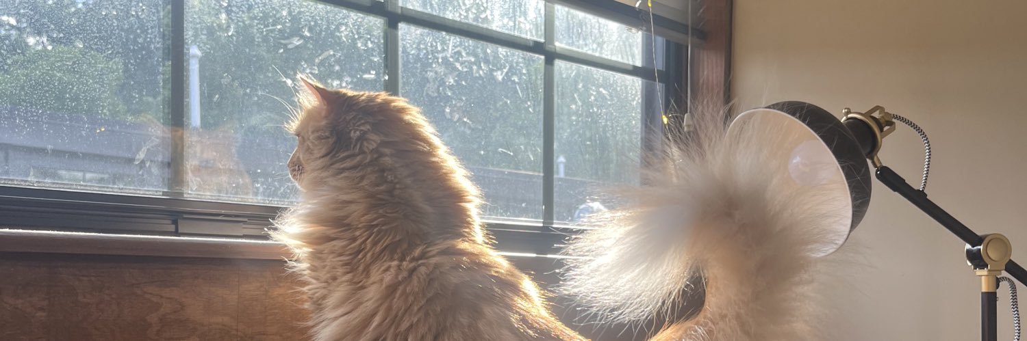 TrystMcCourt's profile banner image
