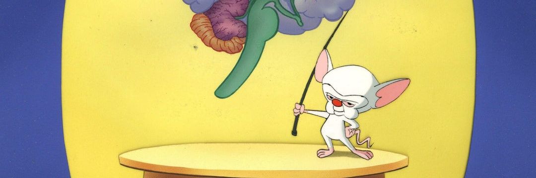Cortex banner