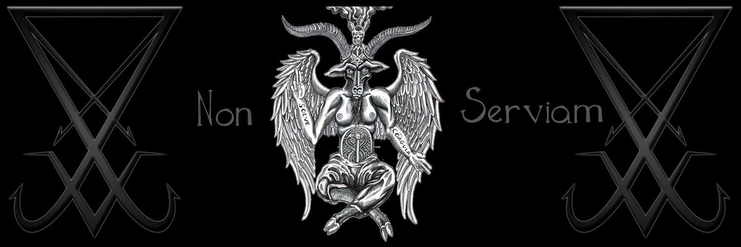 RecoveringZombie🇺🇸🏴󠁧󠁢󠁳󠁣󠁴󠁿🇮🇪 banner