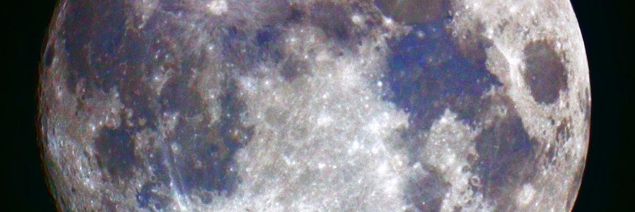 tarotbluemoon's profile banner image