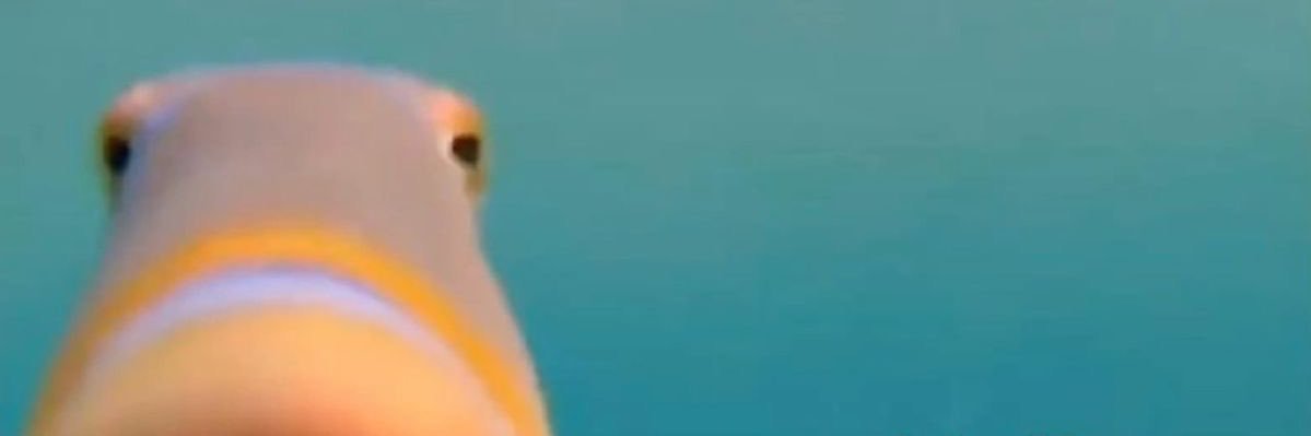 oopa4phq's profile banner image