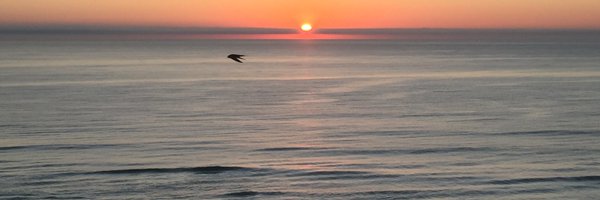 IsabelBird Profile Banner