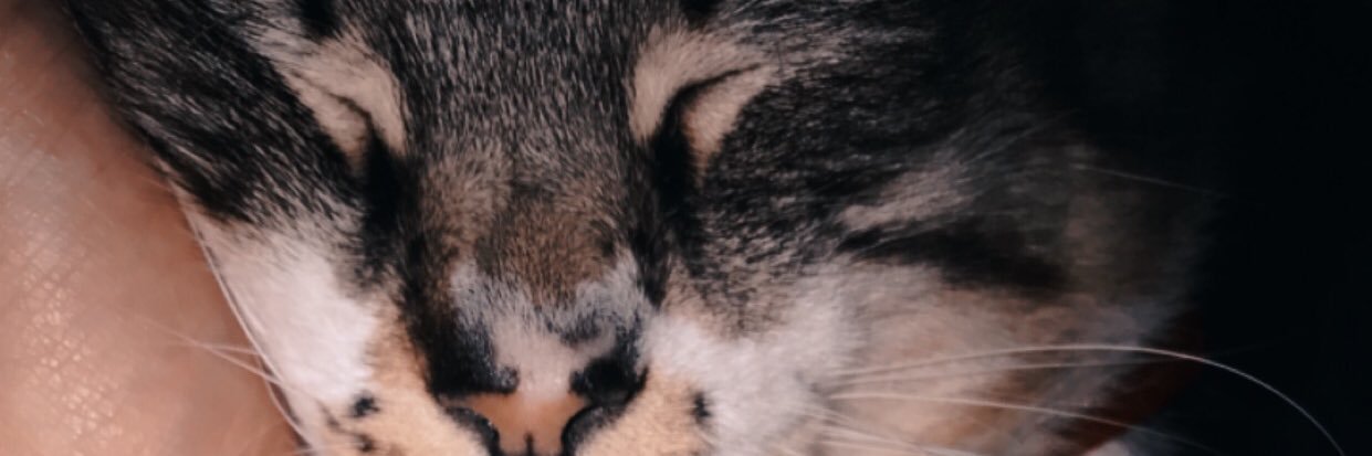o_luna_'s profile banner image