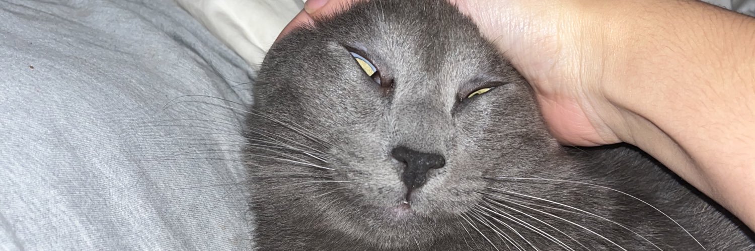 devanmarieeee3's profile banner image