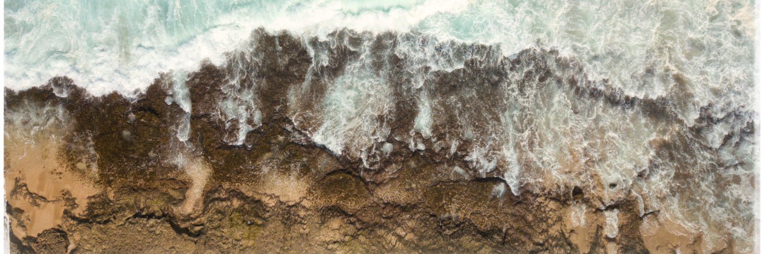 moonsafari.eth banner