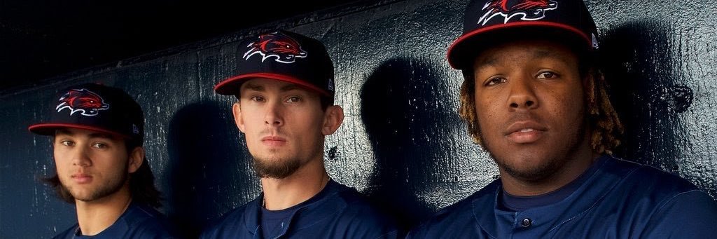 BirdsFlyingHi's profile banner image