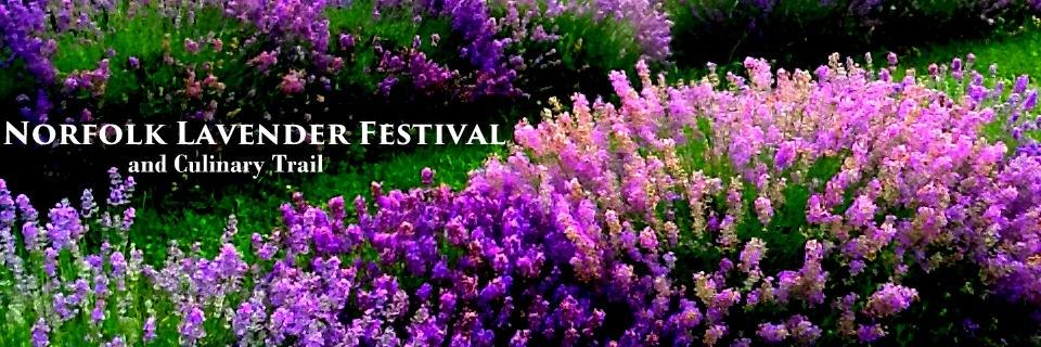 NorfolkLavFest's profile banner image