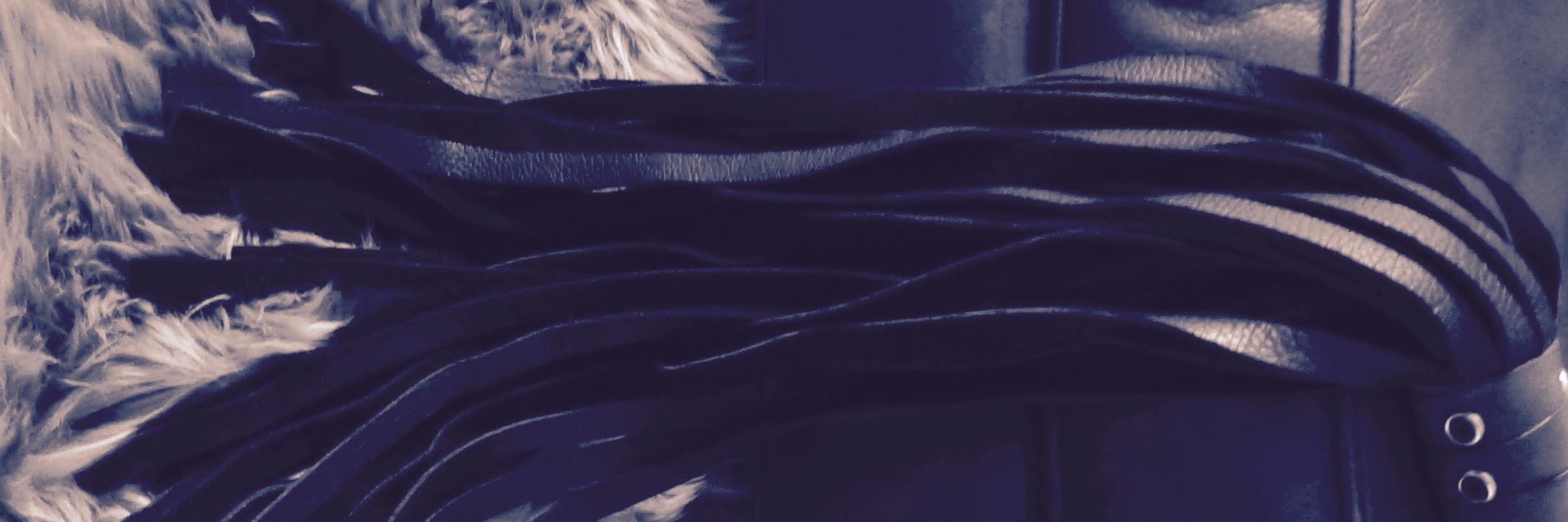 AltaSolipsa's profile banner image