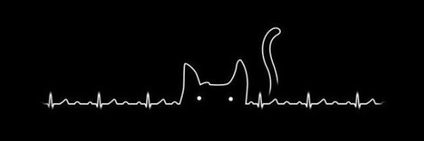 MissDivakitty09 Profile Banner