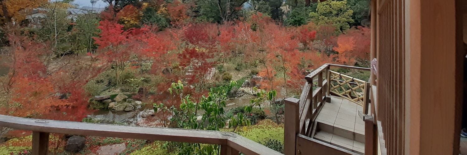 Lo_ve_less's profile banner image