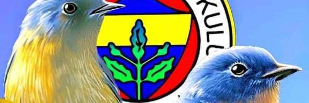 ErSeyit's profile banner image