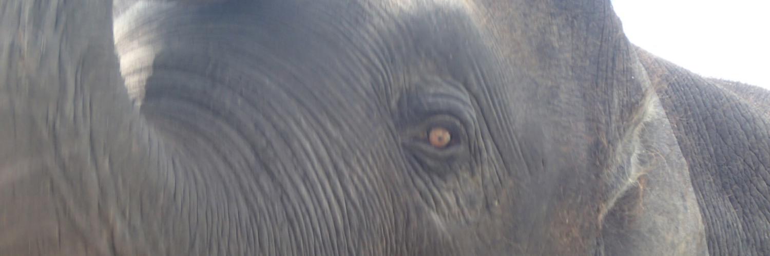 psharp_64's profile banner image
