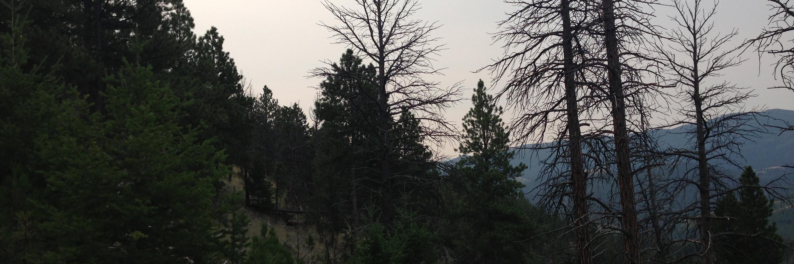 KatGreiner's profile banner image