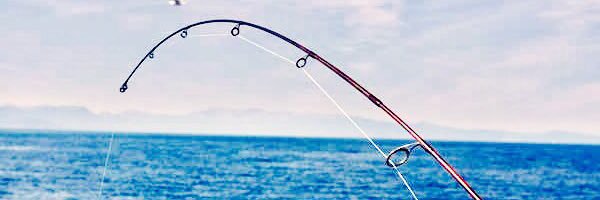 FishingMile's profile banner image