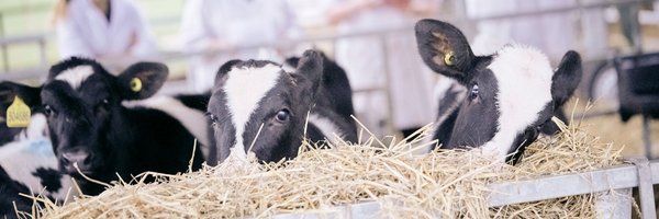 HartpuryAg Profile Banner