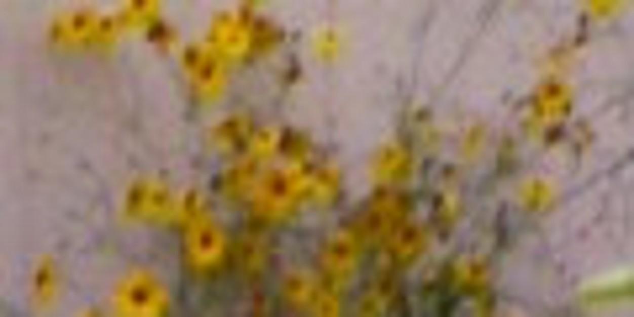 Rocks666L's profile banner image