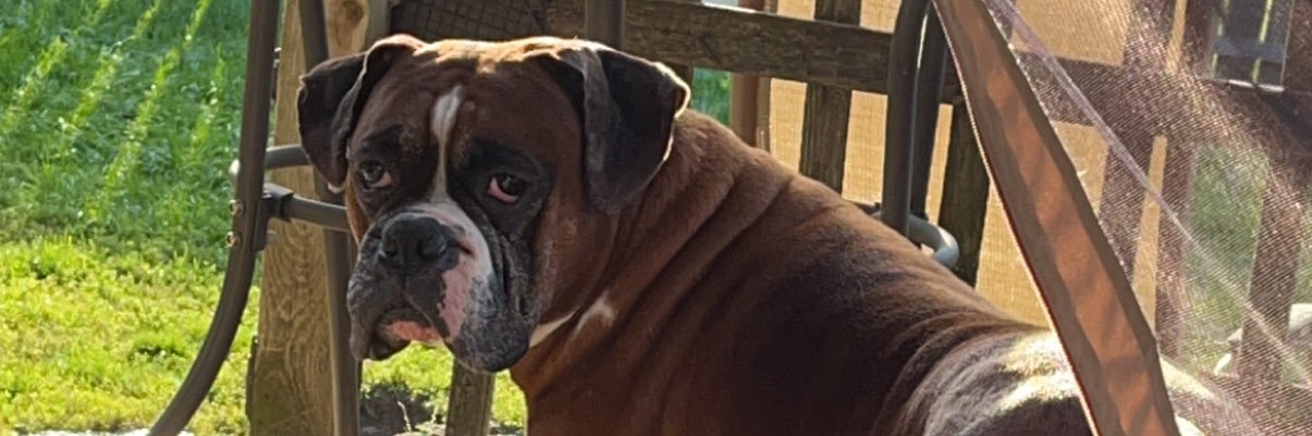 erick_m8r's profile banner image