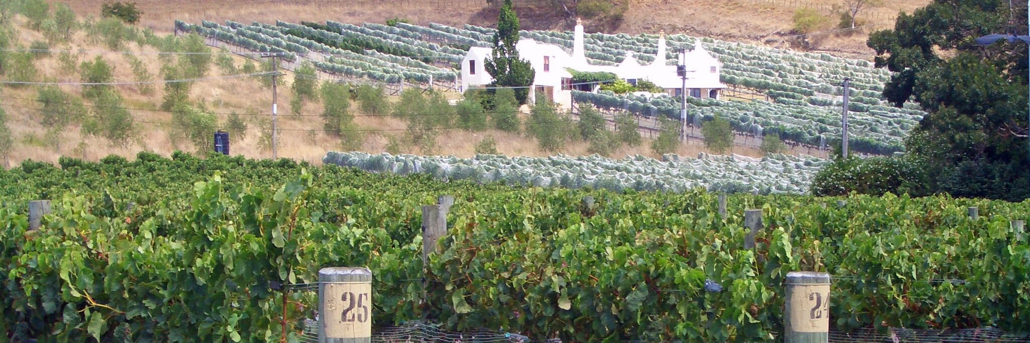 Steven Brunskill banner