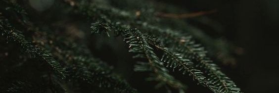 01am11min's profile banner image