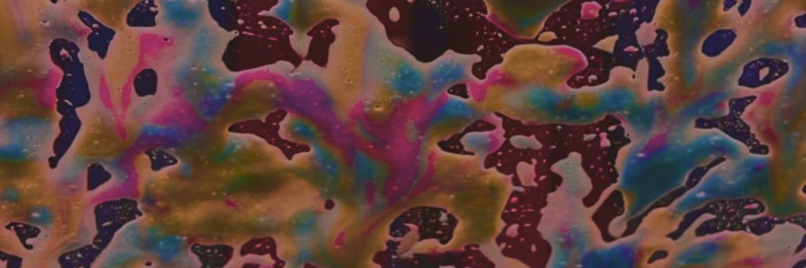 ellliemaria's profile banner image