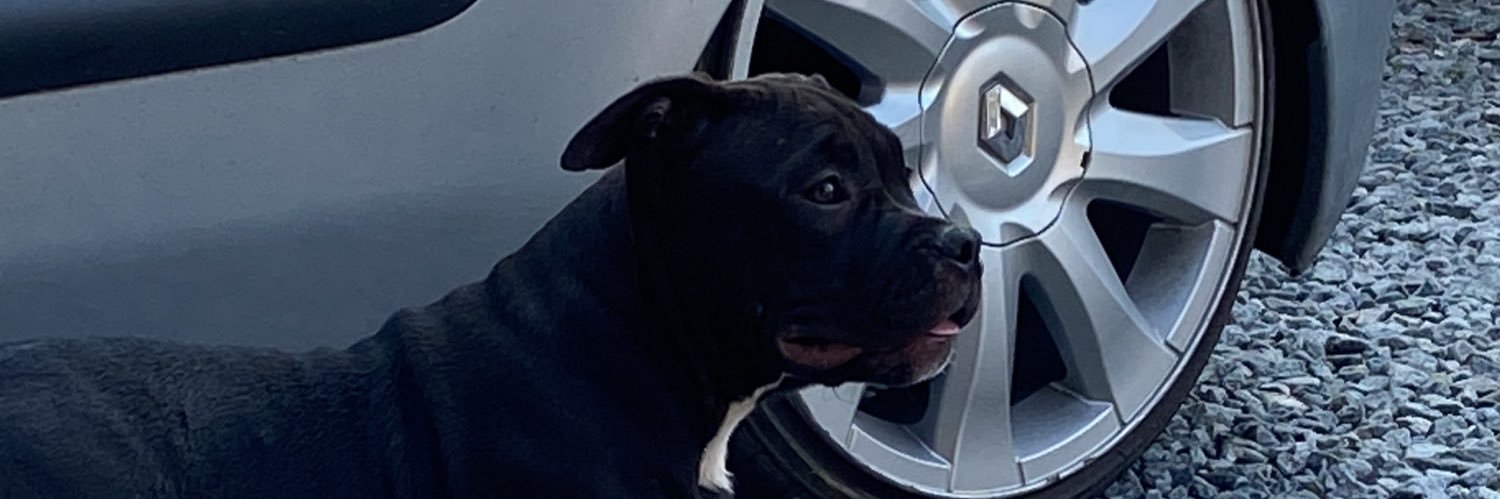 RuzikaFLL's profile banner image