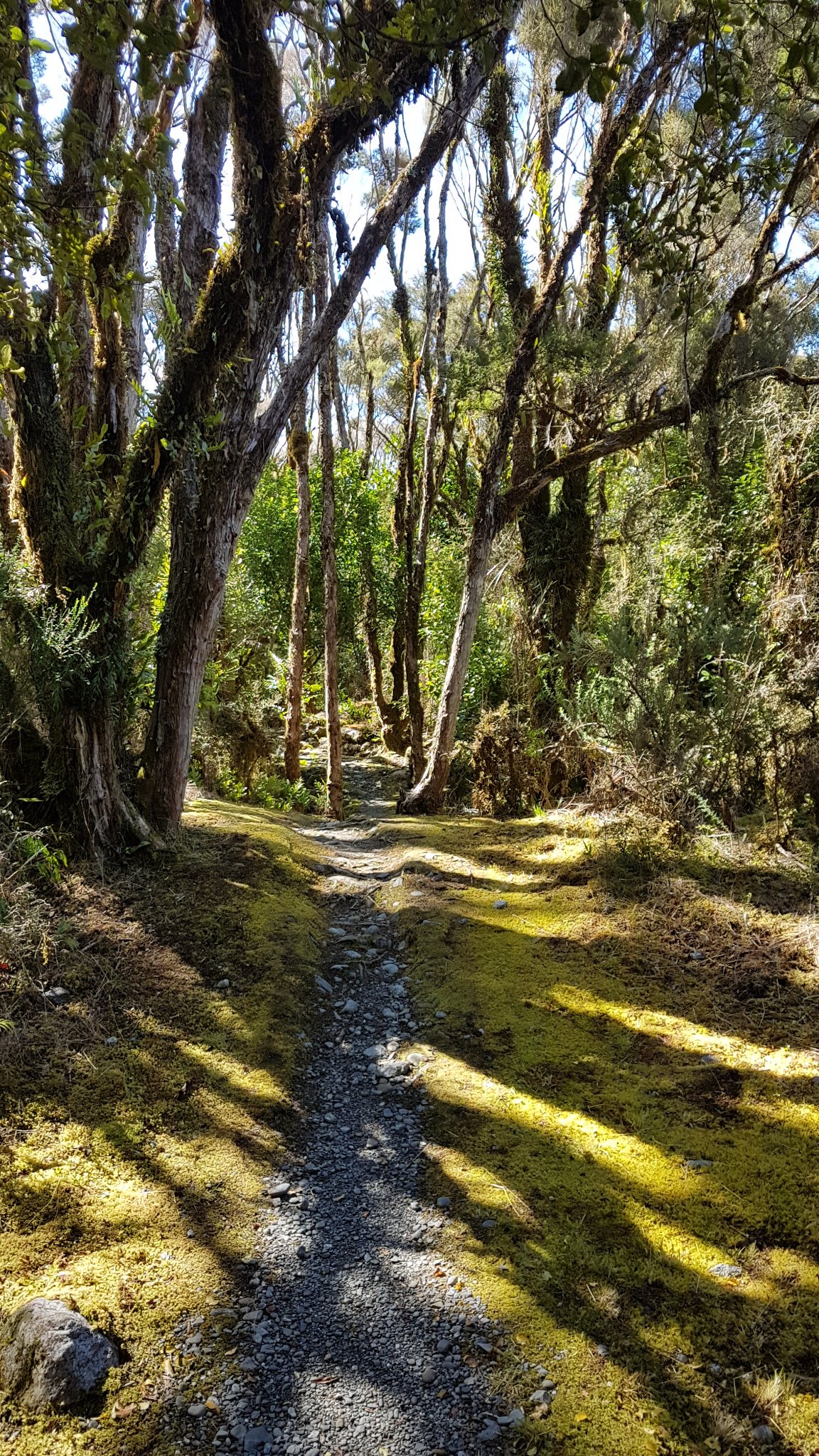 Waikaremoana Waitoki banner