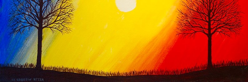 remusvulpescu's profile banner image