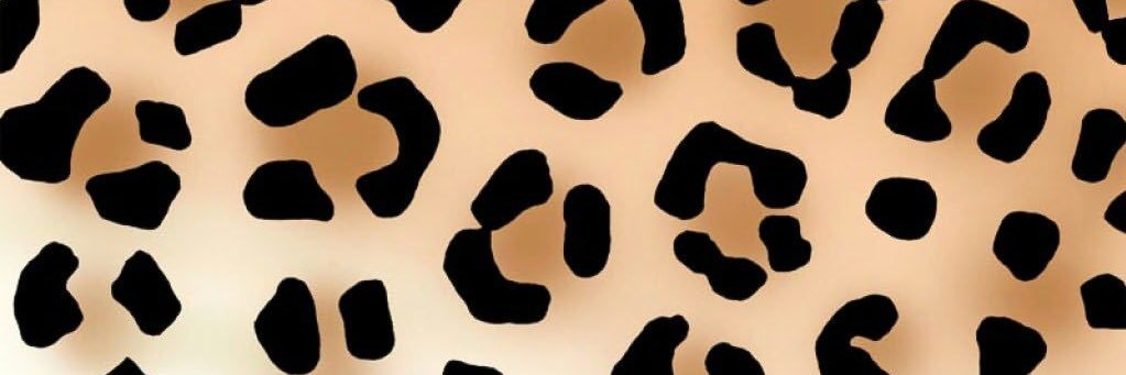 steph 💌 banner