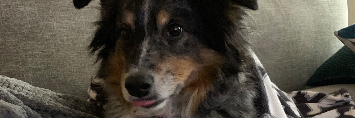 LooksLikeDSVS's profile banner image