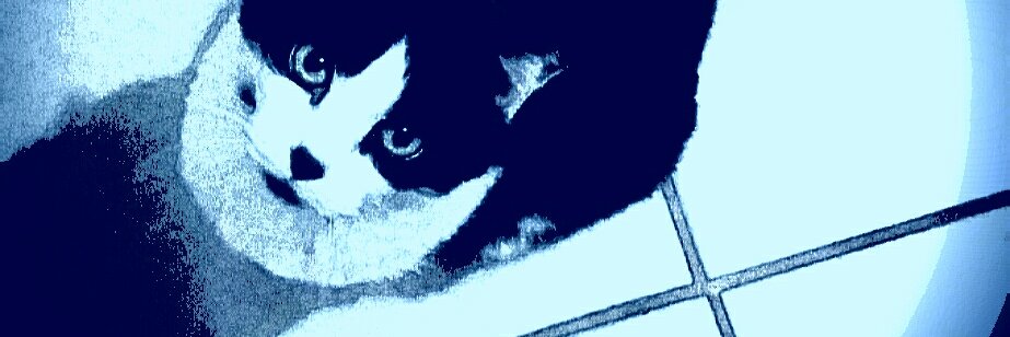 stray12u's profile banner image