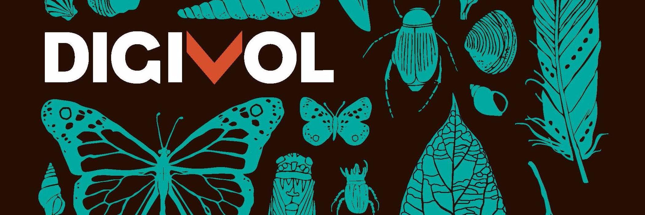DigiVol banner