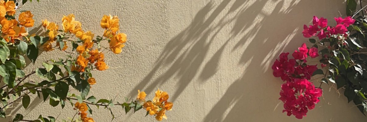 __iBalqees's profile banner image