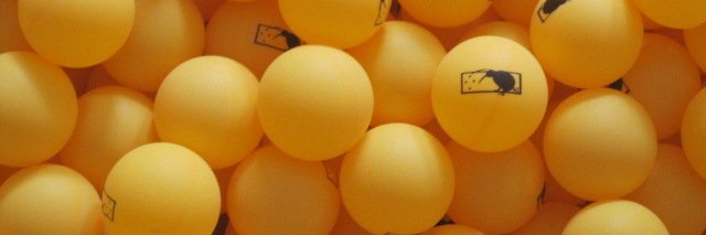 kiwipong's profile banner image