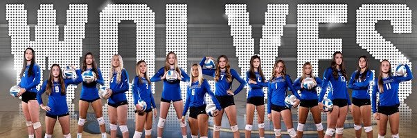 TimberlineVolleyball banner