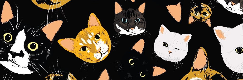 vvvpittacom's profile banner image
