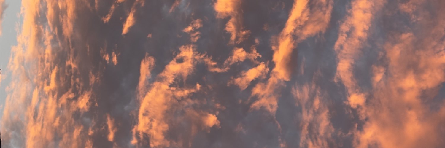onanotd's profile banner image