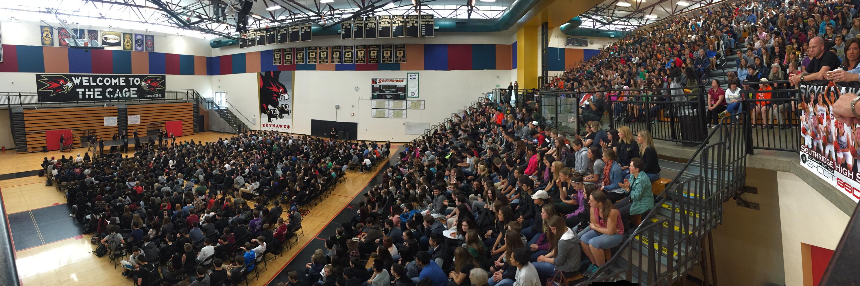 Southridge Skyhawks banner