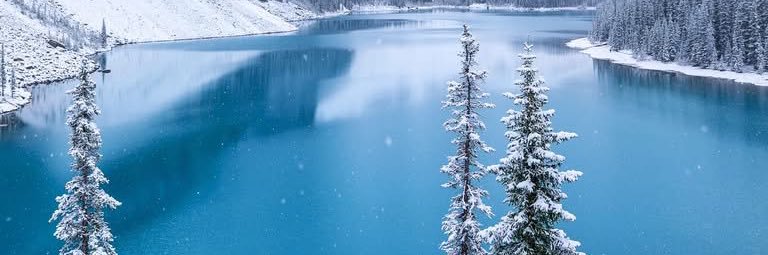 Deb 🇨🇦 banner