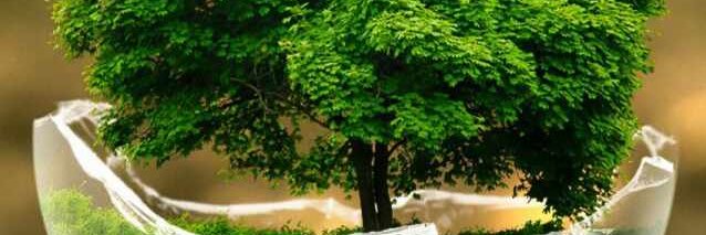 SAMIRKUMARSAH11's profile banner image