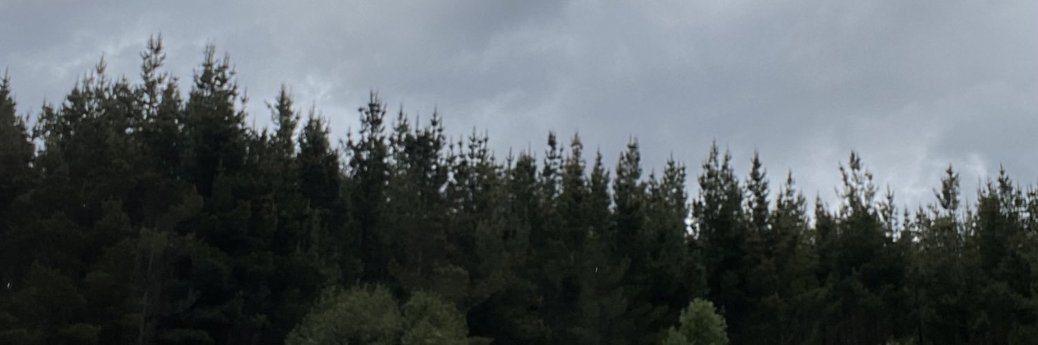 josemarce's profile banner image