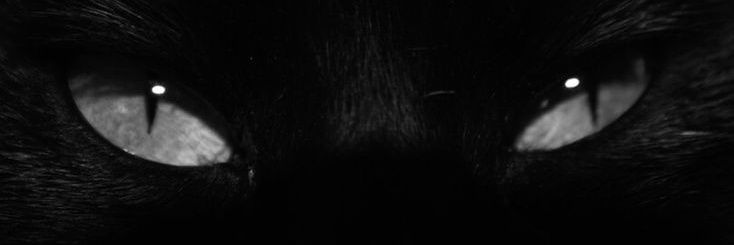 likruby's profile banner image