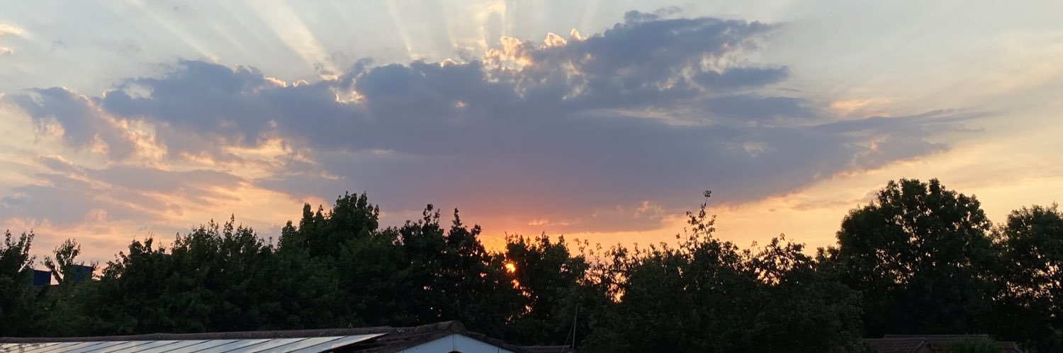 shrad8691's profile banner image