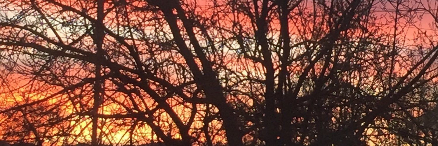 Mickette24's profile banner image