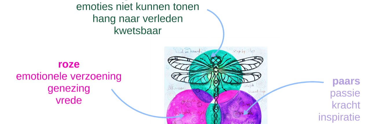 nienkejblom's profile banner image