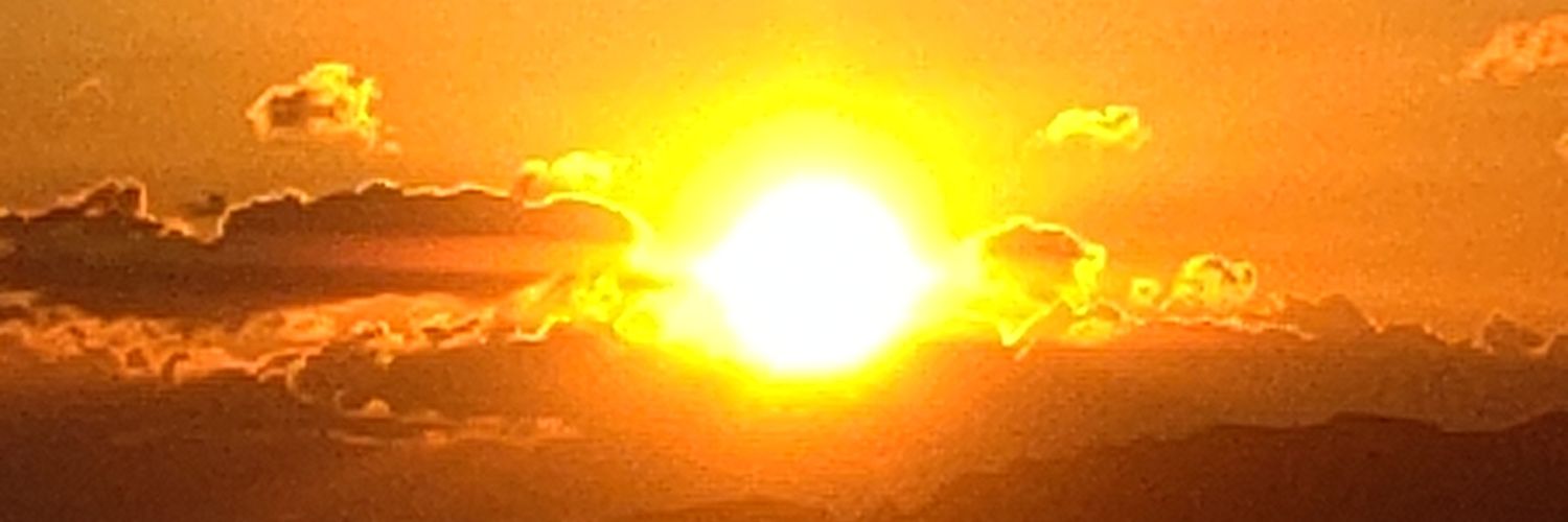 fureemu's profile banner image