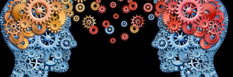 Jamie Peemoeller banner