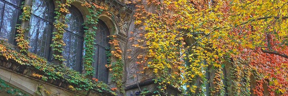 Yale Graduate & Professional Student Senate (GPSS) banner