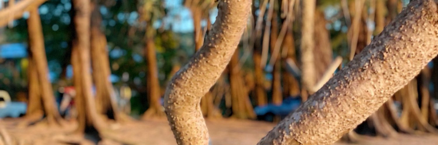 callmemalonmm's profile banner image