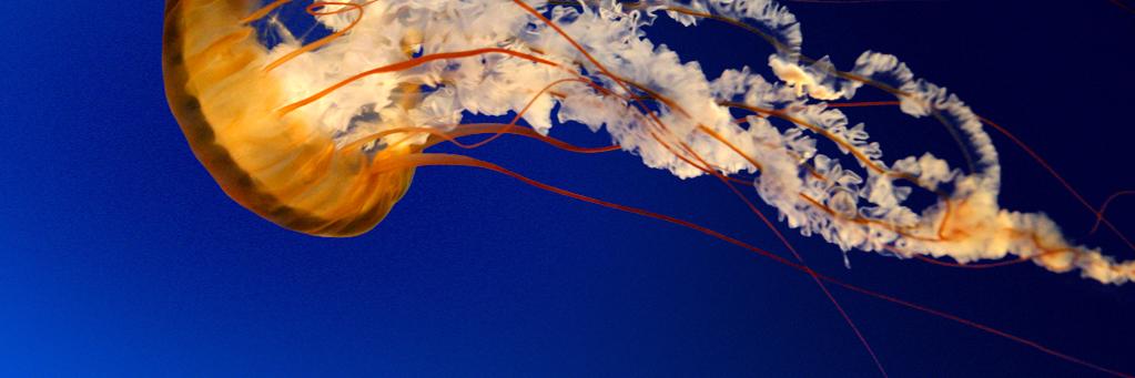 davttu's profile banner image